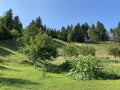 Typical Gorski kotar landscape with pastures, small agricultural gardens and mixed mountain forest - Hamlet TiÃâ¡i, Croatia Royalty Free Stock Photo